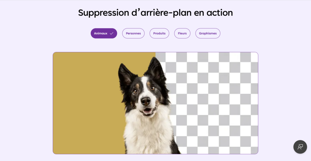 interface de microsoft designer suppression d'arrière-plan